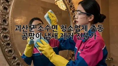 괴산군 소수면 청소업체 출동: 곰팡이, 냄새 제거 전문가