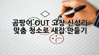 🏠 곰팡이 OUT! 고창 신성리 맞춤 청소로 ✨새집✨ 만들기!