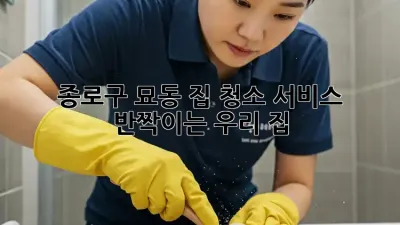 🏠 종로구 묘동 집 청소 서비스, ✨ 반짝이는 우리 집!